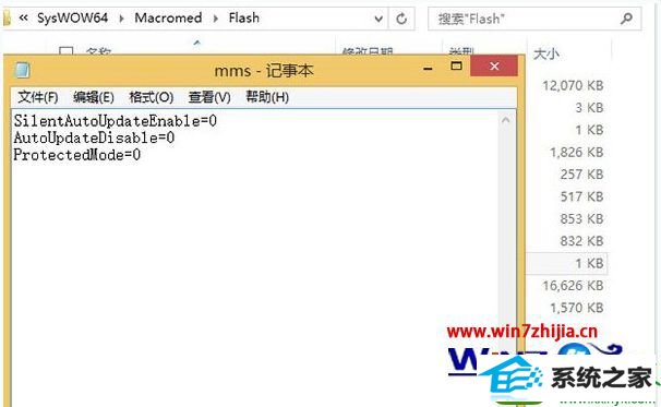 win10ϵͳûflashֹּͣӦĽ